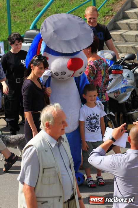 Zdjęcie w galerii na portalu naszraciborz.pl: Udany festyn edukacyjny policji wiadomości z regionu
