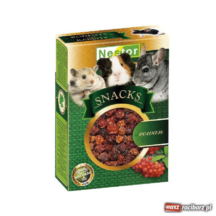 Zdjęcie w galerii na portalu naszraciborz.pl: Czym karmić króliki i gryzonie? wiadomości z regionu