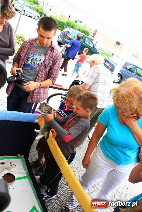 Zdjęcie w galerii na portalu naszraciborz.pl: Akcja adopcyjna przynosi efekty wiadomości z regionu