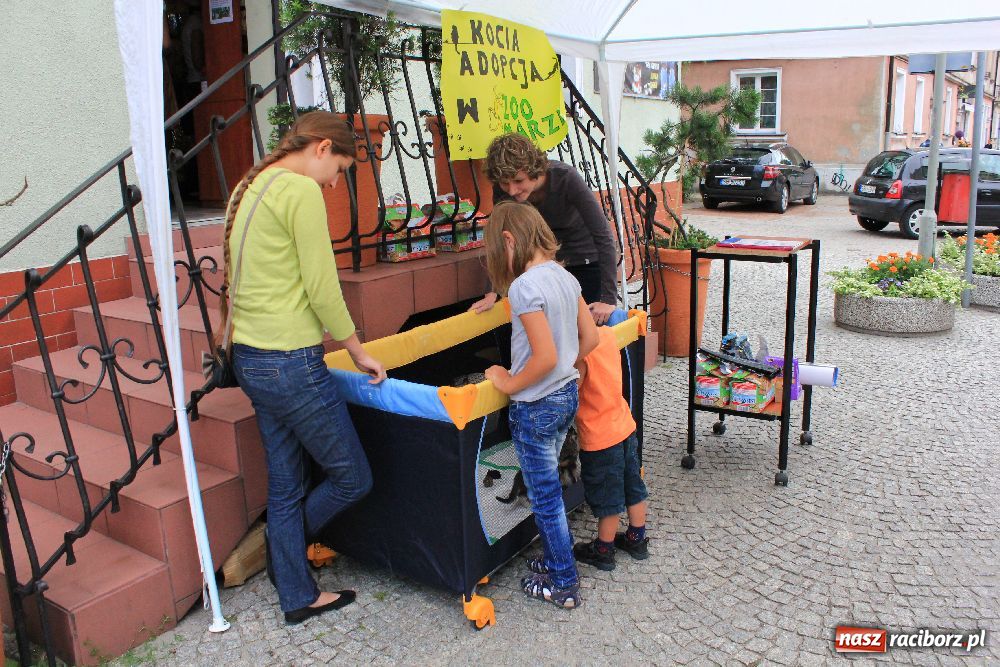 Zdjęcie w galerii na portalu naszraciborz.pl: Akcja adopcyjna przynosi efekty wiadomości z regionu