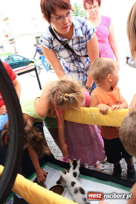 Zdjęcie w galerii na portalu naszraciborz.pl: Akcja adopcyjna przynosi efekty wiadomości z regionu