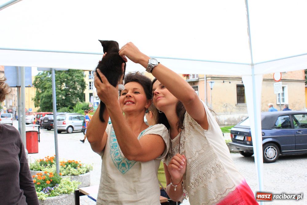 Zdjęcie w galerii na portalu naszraciborz.pl: Akcja adopcyjna przynosi efekty wiadomości z regionu