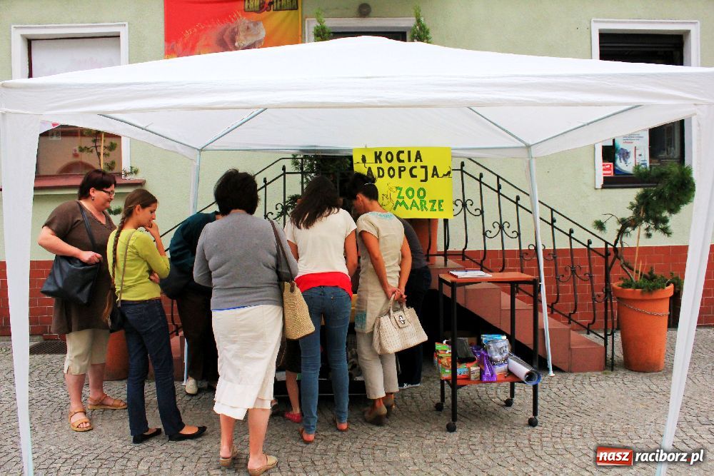 Zdjęcie w galerii na portalu naszraciborz.pl: Akcja adopcyjna przynosi efekty wiadomości z regionu