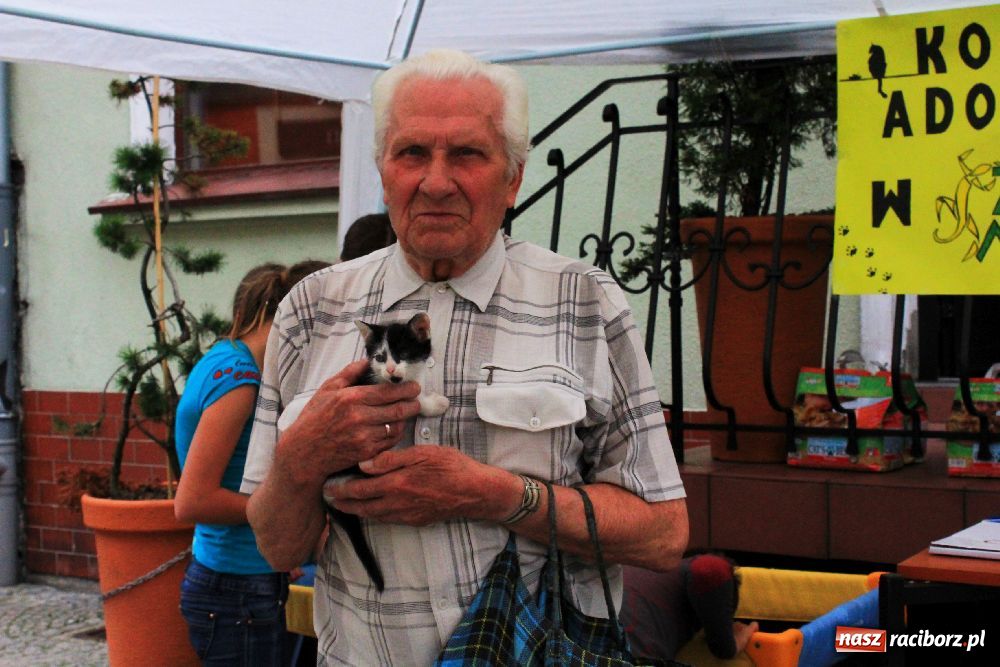 Zdjęcie w galerii na portalu naszraciborz.pl: Akcja adopcyjna przynosi efekty wiadomości z regionu