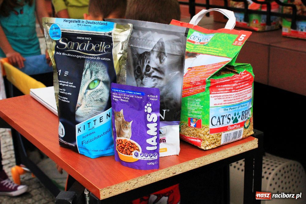 Zdjęcie w galerii na portalu naszraciborz.pl: Akcja adopcyjna przynosi efekty wiadomości z regionu