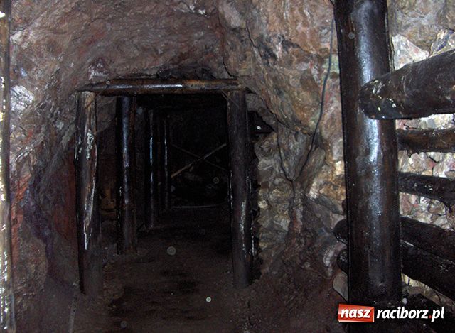 Zdjęcie w galerii na portalu naszraciborz.pl: Afrykańskie wakacje wiadomości z regionu