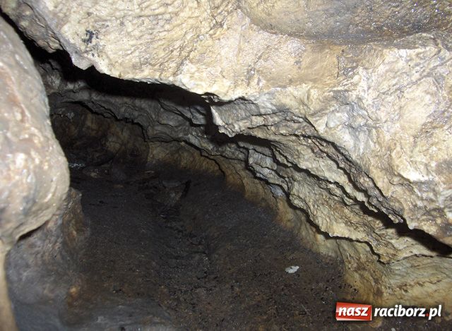 Zdjęcie w galerii na portalu naszraciborz.pl: Afrykańskie wakacje wiadomości z regionu