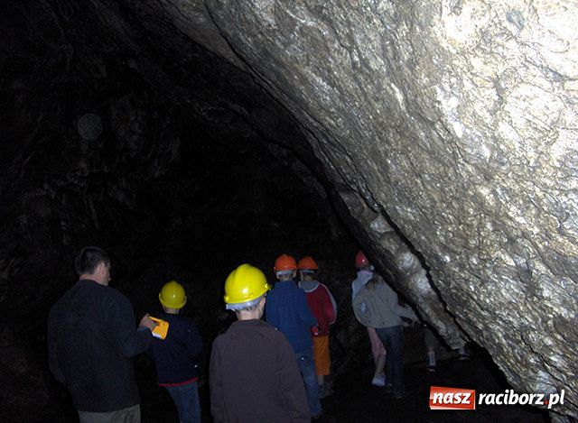 Zdjęcie w galerii na portalu naszraciborz.pl: Afrykańskie wakacje wiadomości z regionu