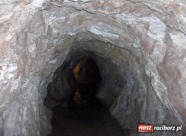 Zdjęcie w galerii na portalu naszraciborz.pl: Afrykańskie wakacje wiadomości z regionu