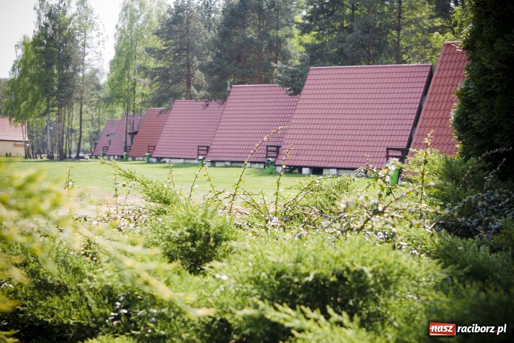 Zdjęcie w galerii na portalu naszraciborz.pl: Jak urządzić wesele z pomysłem? wiadomości z regionu