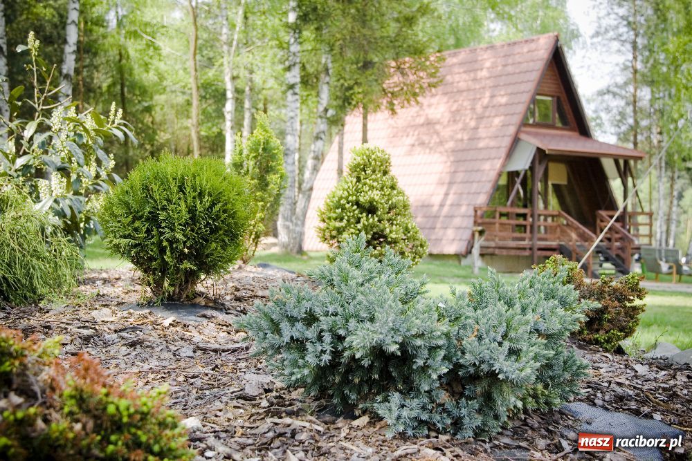 Zdjęcie w galerii na portalu naszraciborz.pl: Jak urządzić wesele z pomysłem? wiadomości z regionu