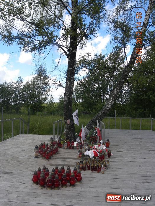 Zdjęcie w galerii na portalu naszraciborz.pl: Wyprawy motocyklowe to ich wspólna pasja wiadomości z regionu