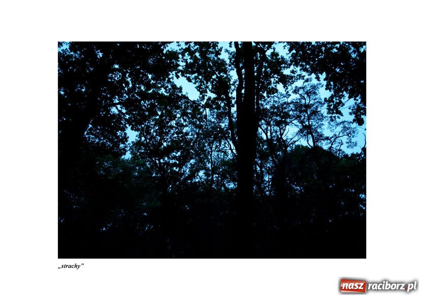 Zdjęcie w galerii na portalu naszraciborz.pl: Dwa Poziomy - wystawa fotografii wiadomości z regionu