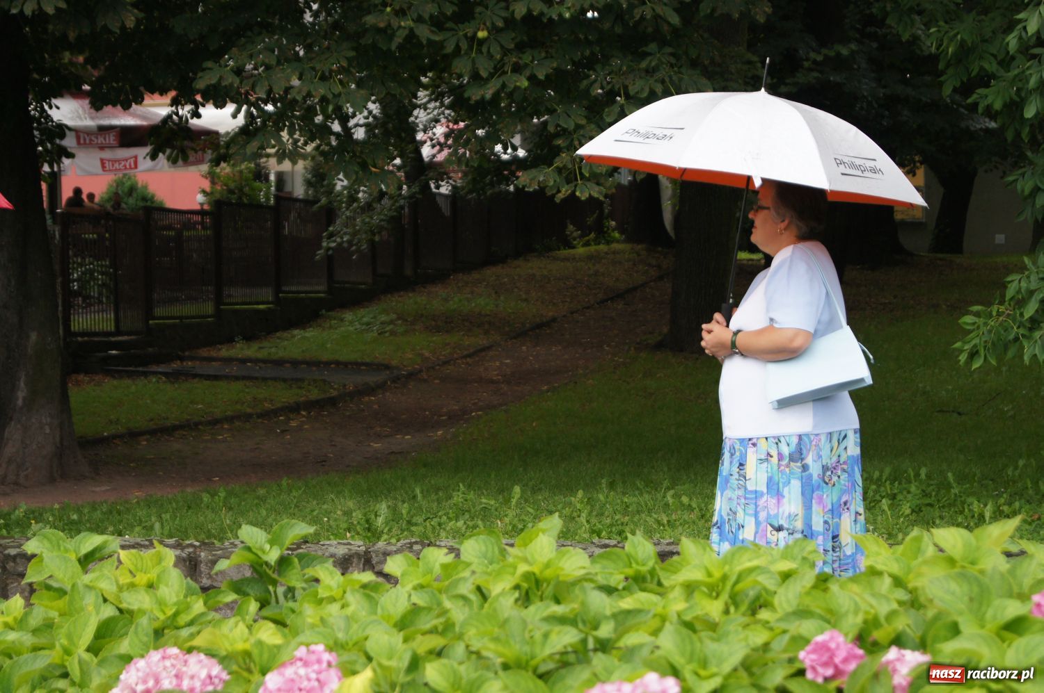 Zdjęcie w galerii na portalu naszraciborz.pl: Kurcbend w Parku Roth przegonił deszcz wiadomości z regionu