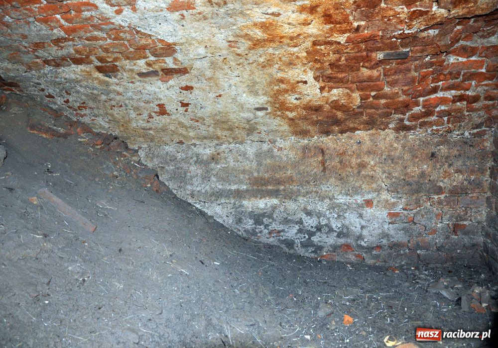 Zdjęcie w galerii na portalu naszraciborz.pl: Odkryto tajemniczy kanał ze swastyką wiadomości z regionu