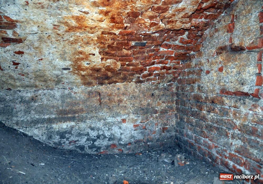 Zdjęcie w galerii na portalu naszraciborz.pl: Odkryto tajemniczy kanał ze swastyką wiadomości z regionu