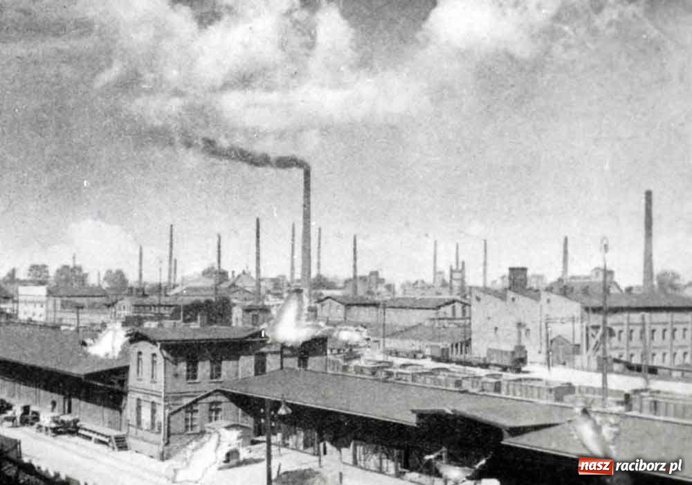 Zdjęcie w galerii na portalu naszraciborz.pl: Tego jeszcze nie widzieliście wiadomości z regionu