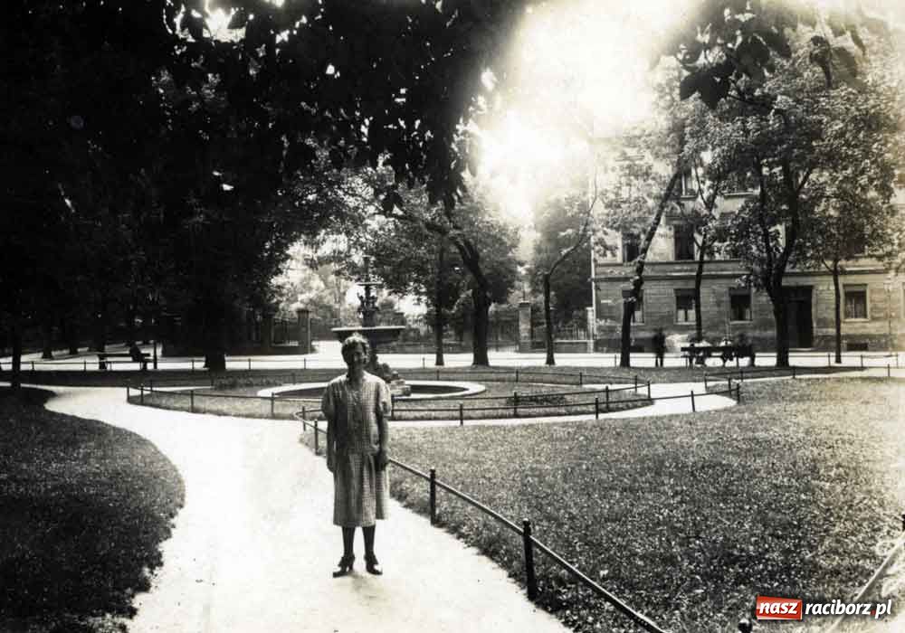 Zdjęcie w galerii na portalu naszraciborz.pl: Tego jeszcze nie widzieliście wiadomości z regionu