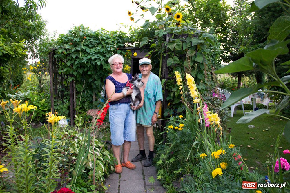 Zdjęcie w galerii na portalu naszraciborz.pl: Raciborzanie: Działka to jest to! wiadomości z regionu