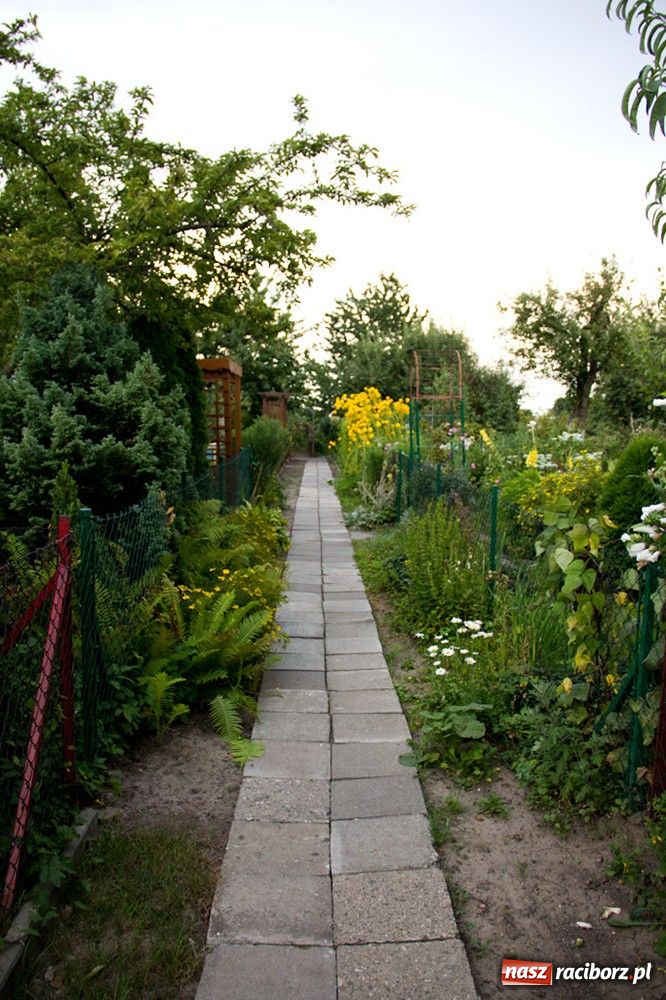 Zdjęcie w galerii na portalu naszraciborz.pl: Raciborzanie: Działka to jest to! wiadomości z regionu