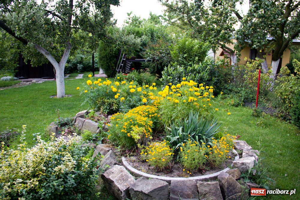 Zdjęcie w galerii na portalu naszraciborz.pl: Raciborzanie: Działka to jest to! wiadomości z regionu