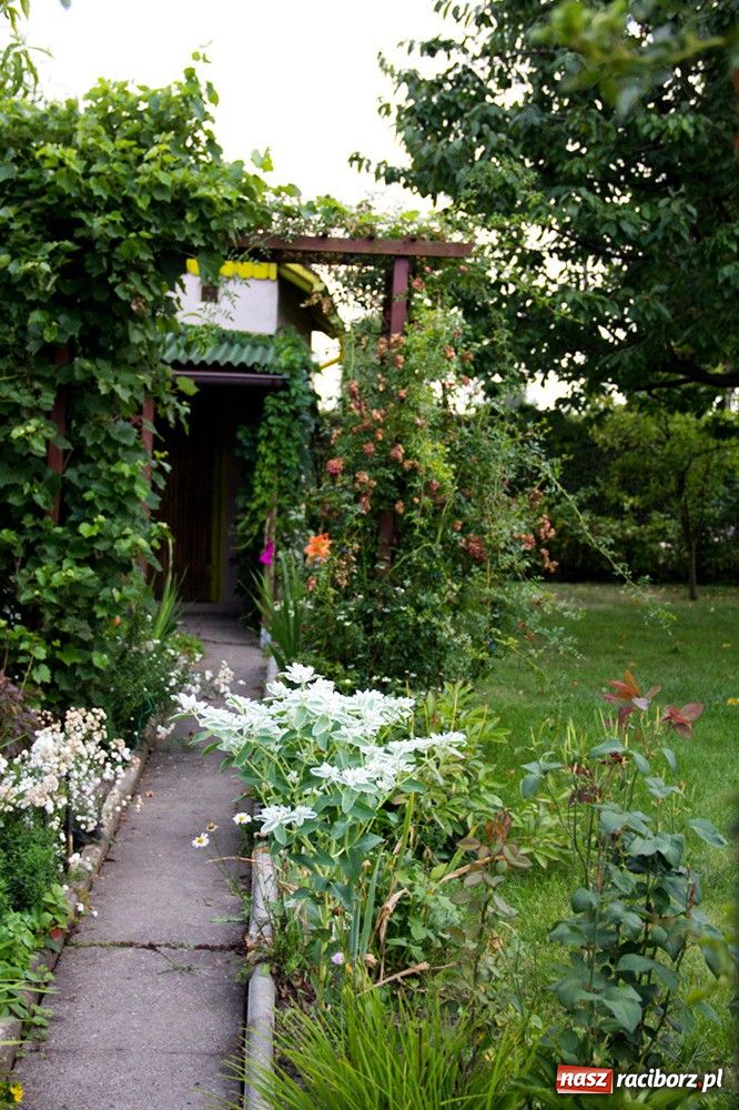 Zdjęcie w galerii na portalu naszraciborz.pl: Raciborzanie: Działka to jest to! wiadomości z regionu