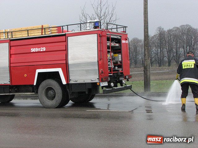 Zdjęcie w galerii na portalu naszraciborz.pl: Plama oleju na zakręcie horrorów wiadomości z regionu