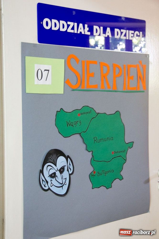 Zdjęcie w galerii na portalu naszraciborz.pl: Rumunia, Węgry i Bułgaria w bibliotece wiadomości z regionu