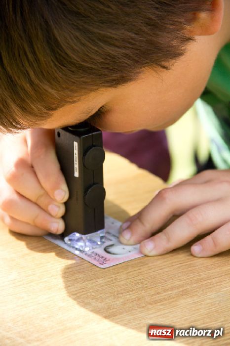 Zdjęcie w galerii na portalu naszraciborz.pl: Zamkowe Zuchy: dzień Straży Granicznej wiadomości z regionu