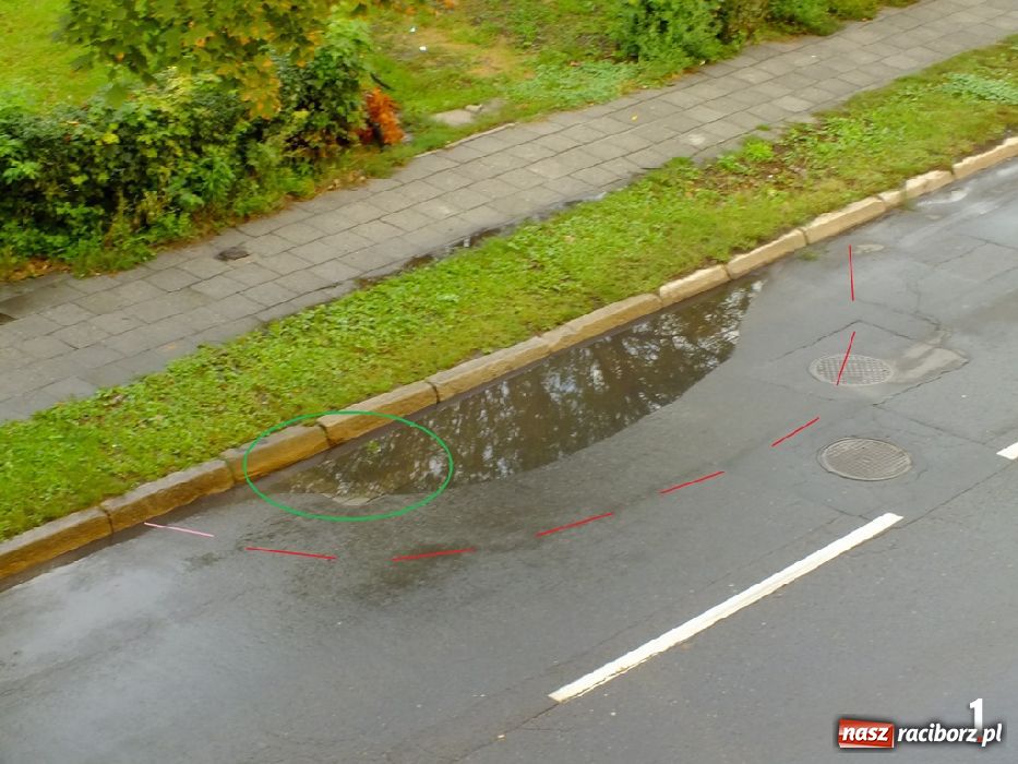 Zdjęcie w galerii na portalu naszraciborz.pl: List do redakcji: Kałuże wzdłuż Kościuszki wiadomości z regionu