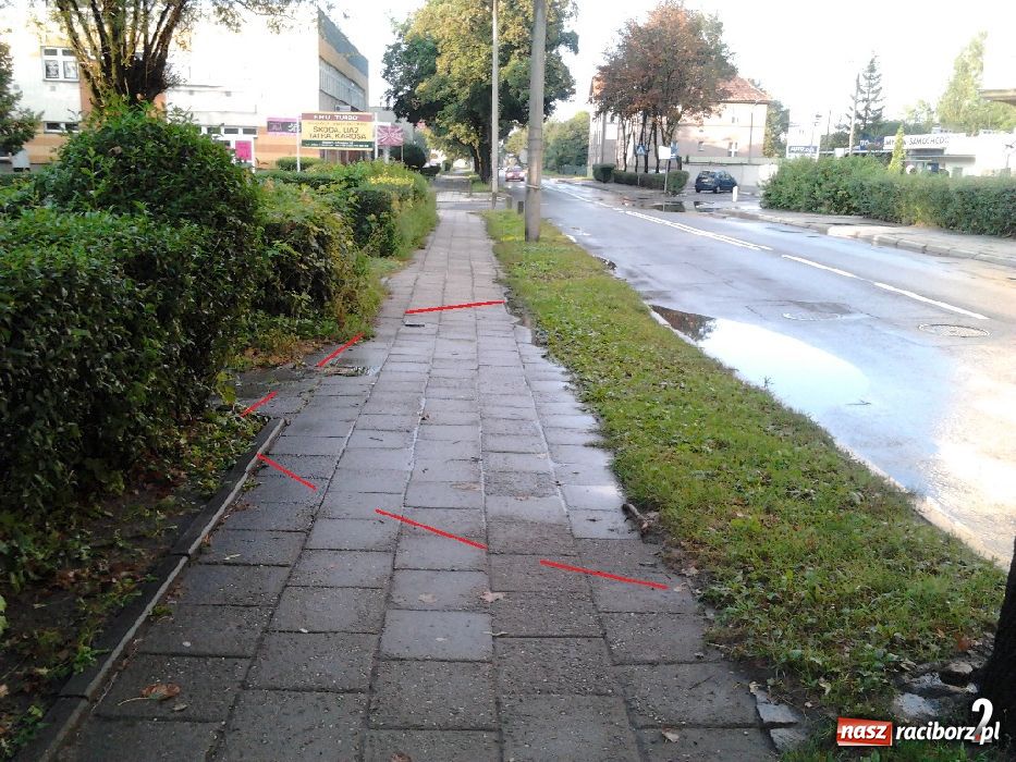 Zdjęcie w galerii na portalu naszraciborz.pl: List do redakcji: Kałuże wzdłuż Kościuszki wiadomości z regionu