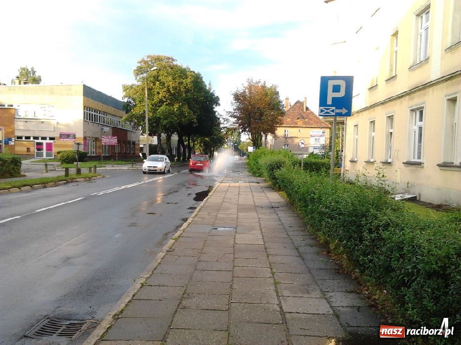 Zdjęcie w galerii na portalu naszraciborz.pl: List do redakcji: Kałuże wzdłuż Kościuszki wiadomości z regionu