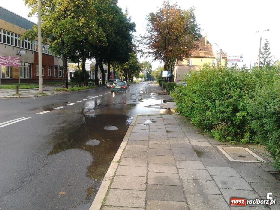 Zdjęcie w galerii na portalu naszraciborz.pl: List do redakcji: Kałuże wzdłuż Kościuszki wiadomości z regionu