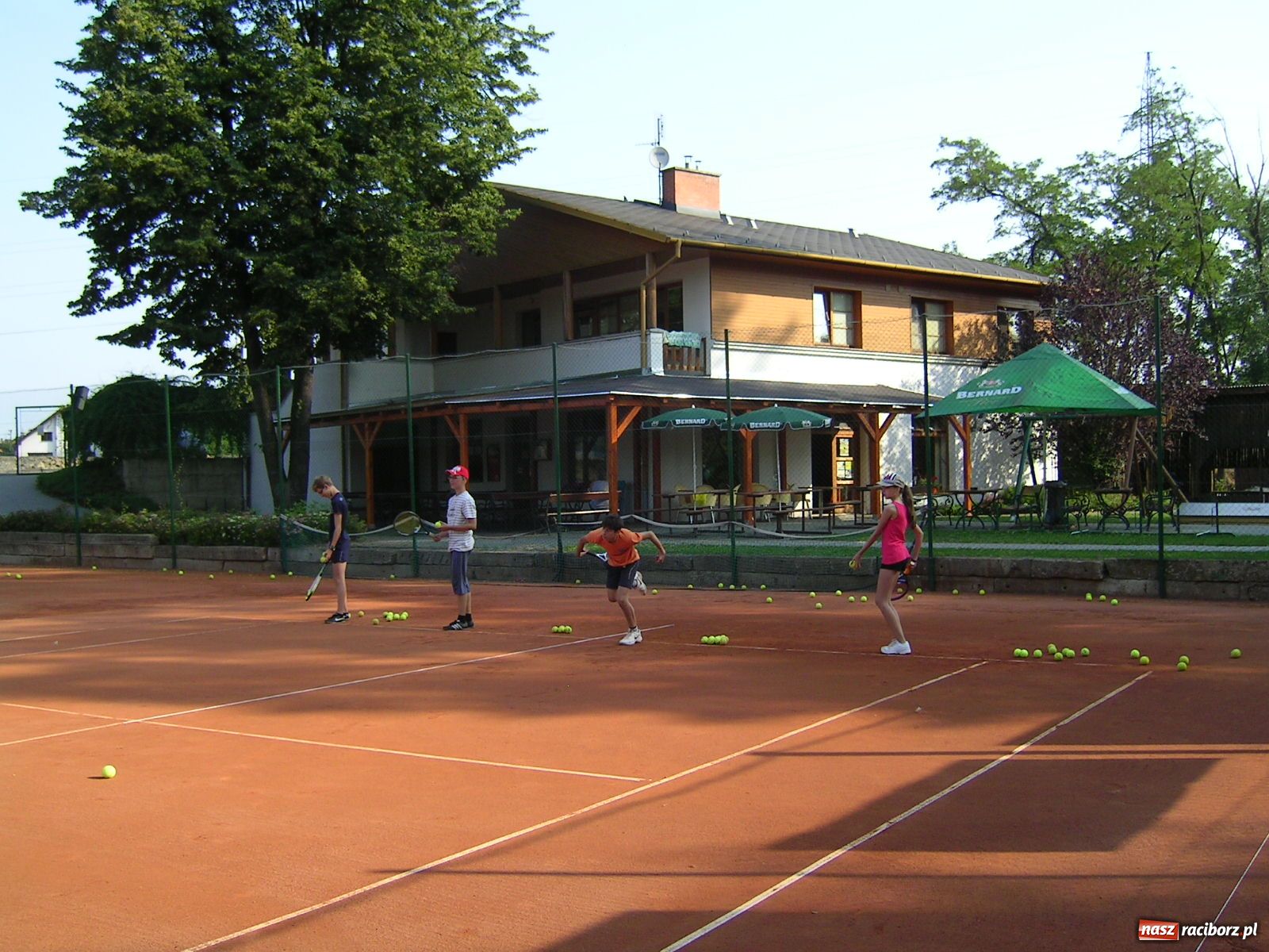 Zdjęcie w galerii na portalu naszraciborz.pl: Bezpłatna nauka tenisa ziemnego  wiadomości z regionu