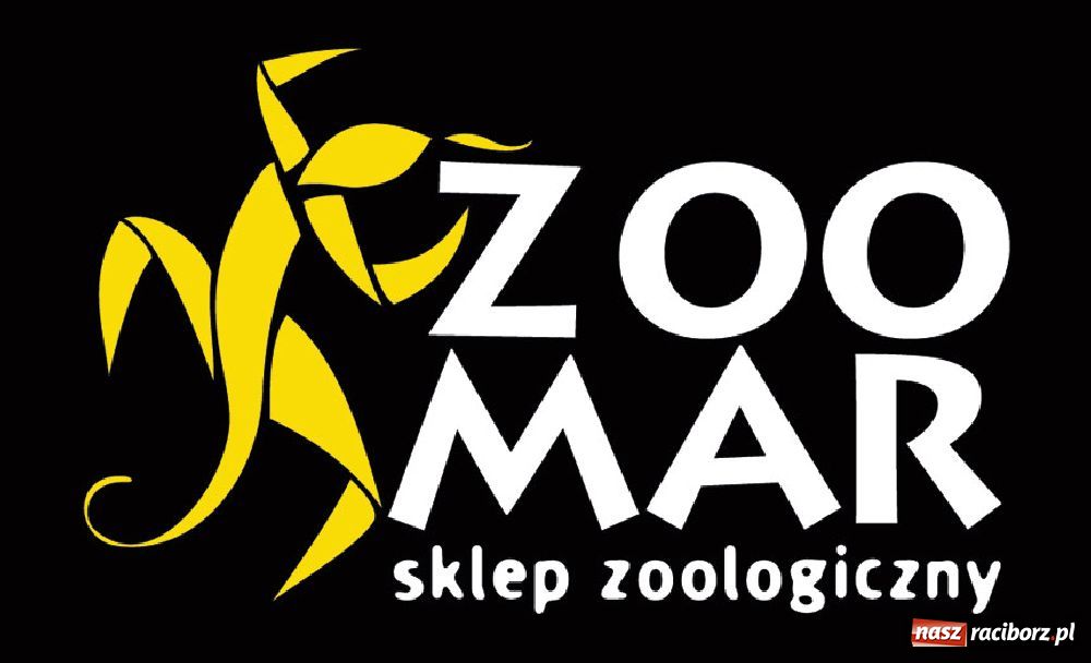 Zdjęcie w galerii na portalu naszraciborz.pl: Ryby w akwarium - co warto wiedzieć? wiadomości z regionu