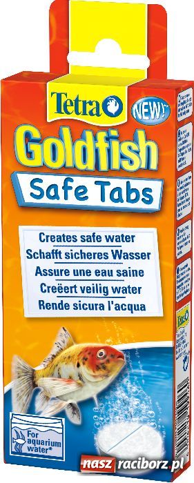 Zdjęcie w galerii na portalu naszraciborz.pl: Ryby w akwarium - co warto wiedzieć? wiadomości z regionu