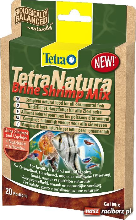 Zdjęcie w galerii na portalu naszraciborz.pl: Ryby w akwarium - co warto wiedzieć? wiadomości z regionu