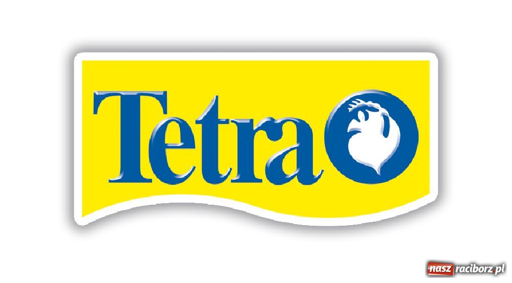 Zdjęcie w galerii na portalu naszraciborz.pl: Ryby w akwarium - co warto wiedzieć? wiadomości z regionu