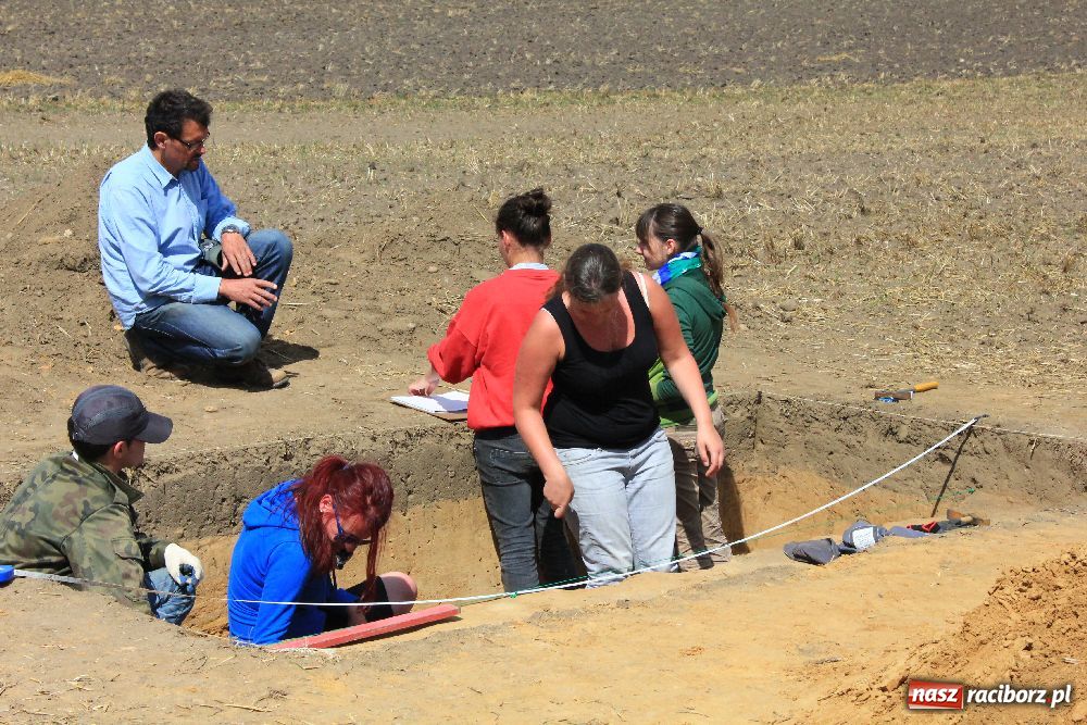 Zdjęcie w galerii na portalu naszraciborz.pl: Wykopaliska w Pietrowicach Wielkich wiadomości z regionu