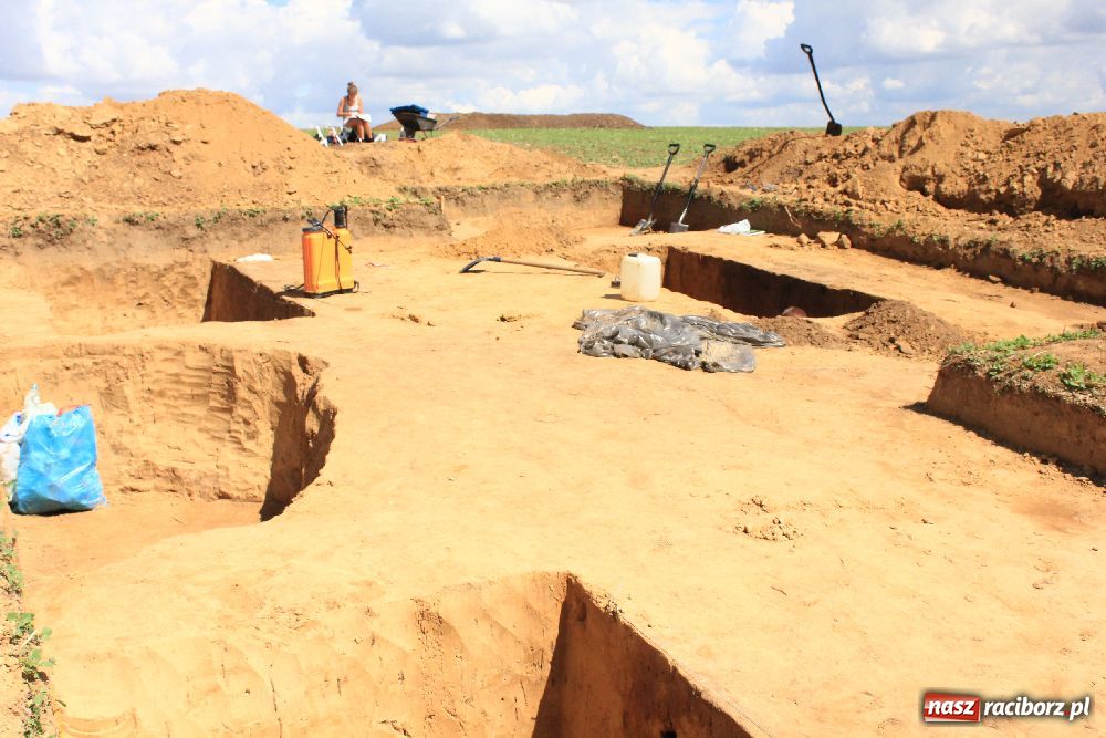 Zdjęcie w galerii na portalu naszraciborz.pl: Wykopaliska w Pietrowicach Wielkich wiadomości z regionu