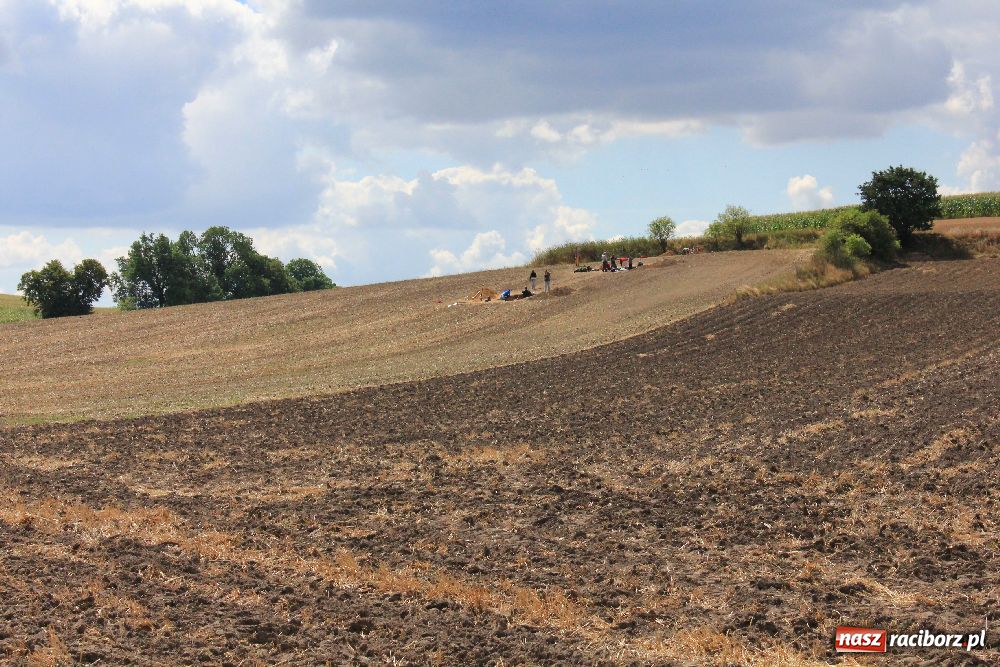 Zdjęcie w galerii na portalu naszraciborz.pl: Wykopaliska w Pietrowicach Wielkich wiadomości z regionu