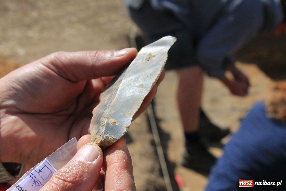 Zdjęcie w galerii na portalu naszraciborz.pl: Wykopaliska w Pietrowicach Wielkich wiadomości z regionu