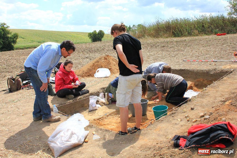 Zdjęcie w galerii na portalu naszraciborz.pl: Wykopaliska w Pietrowicach Wielkich wiadomości z regionu