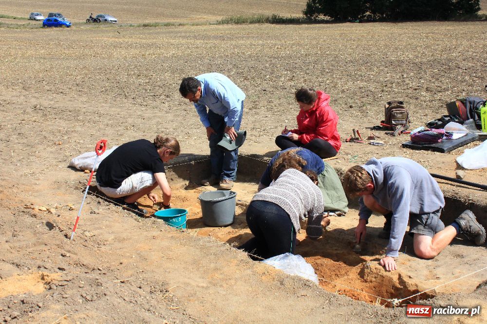 Zdjęcie w galerii na portalu naszraciborz.pl: Wykopaliska w Pietrowicach Wielkich wiadomości z regionu