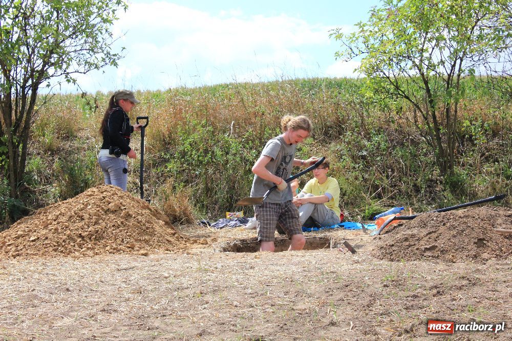 Zdjęcie w galerii na portalu naszraciborz.pl: Wykopaliska w Pietrowicach Wielkich wiadomości z regionu