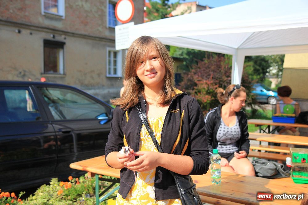 Zdjęcie w galerii na portalu naszraciborz.pl: Gryzonie wystartowały na Długiej wiadomości z regionu