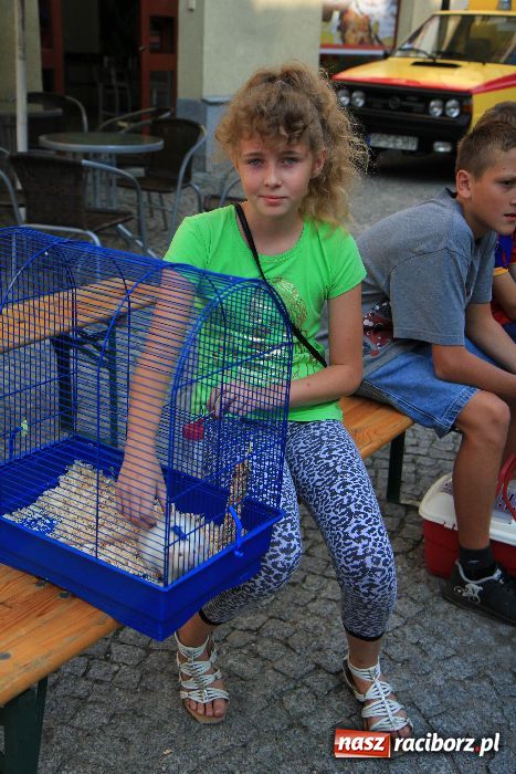 Zdjęcie w galerii na portalu naszraciborz.pl: Gryzonie wystartowały na Długiej wiadomości z regionu