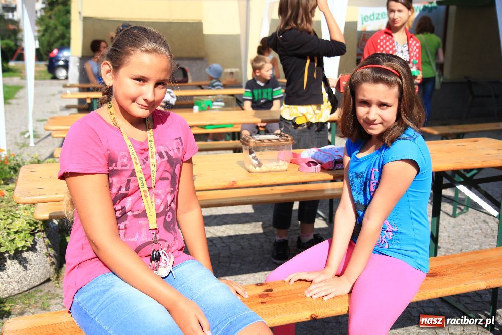 Zdjęcie w galerii na portalu naszraciborz.pl: Gryzonie wystartowały na Długiej wiadomości z regionu