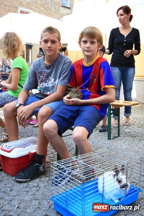 Zdjęcie w galerii na portalu naszraciborz.pl: Gryzonie wystartowały na Długiej wiadomości z regionu