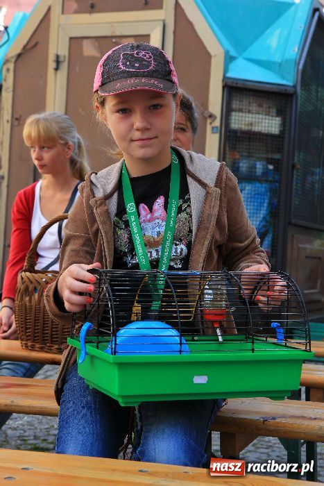 Zdjęcie w galerii na portalu naszraciborz.pl: Gryzonie wystartowały na Długiej wiadomości z regionu